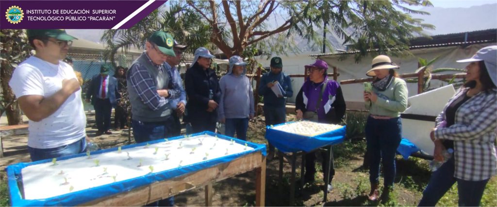 agro 1