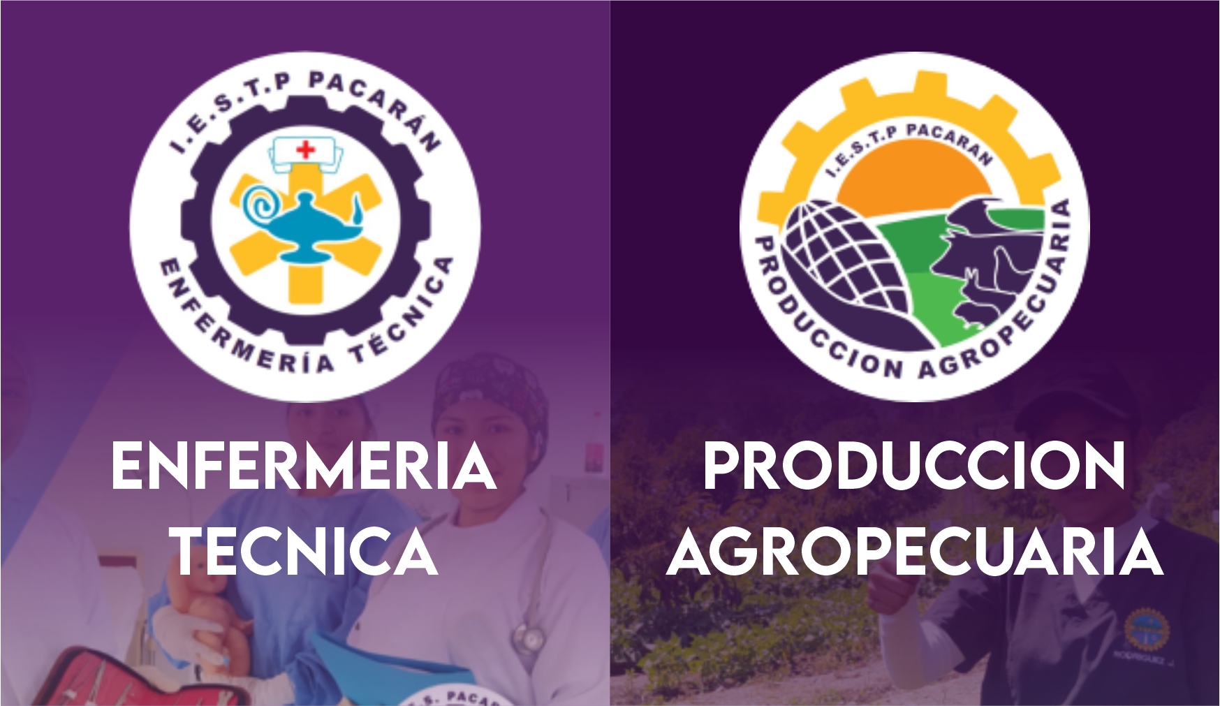 programa