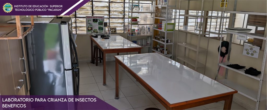slider 3 nosotros