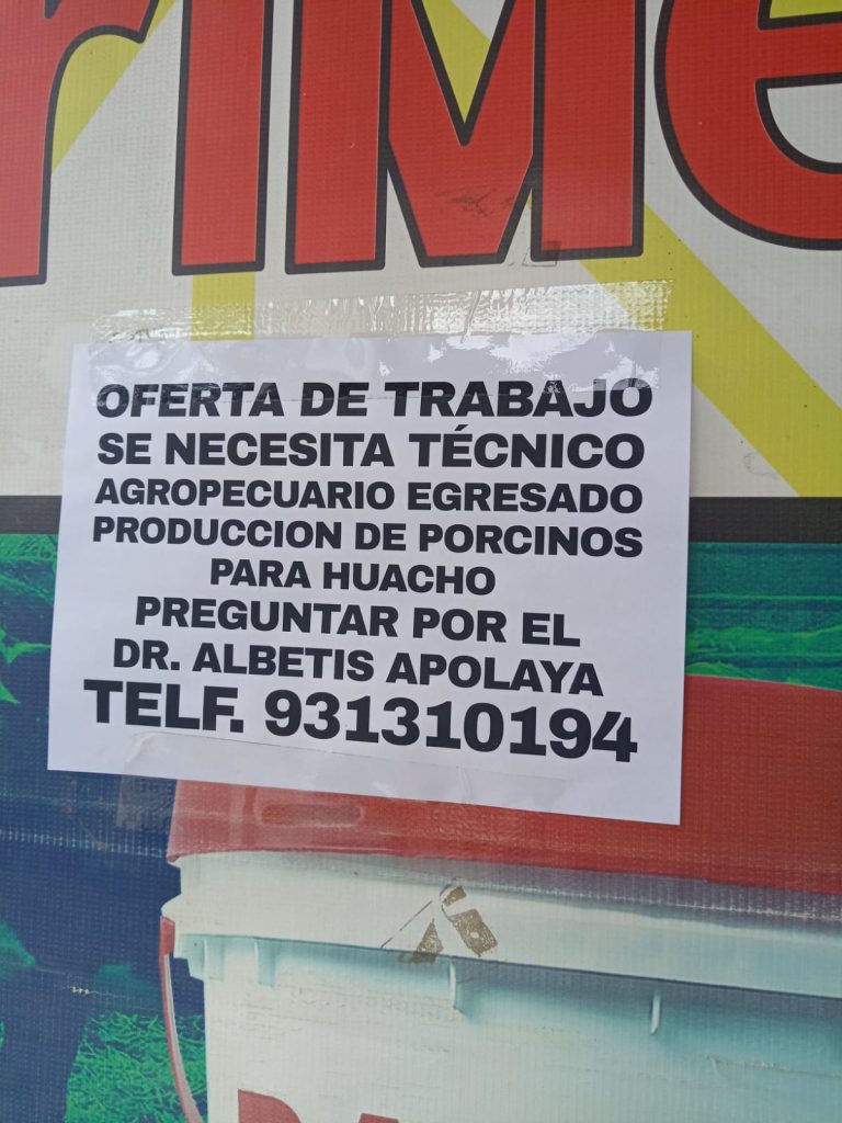 OFERTA DE TRABAJO